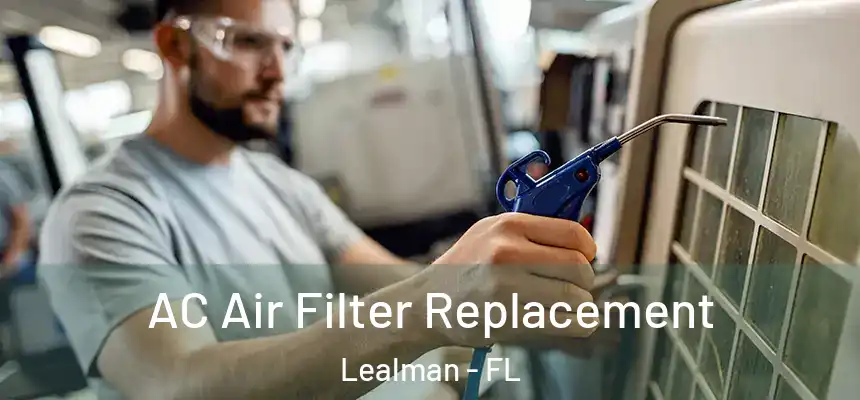 AC Air Filter Replacement Lealman - FL