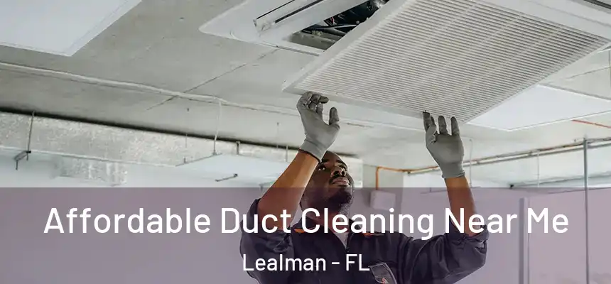 Affordable Duct Cleaning Near Me Lealman - FL