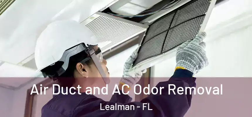 Air Duct and AC Odor Removal Lealman - FL