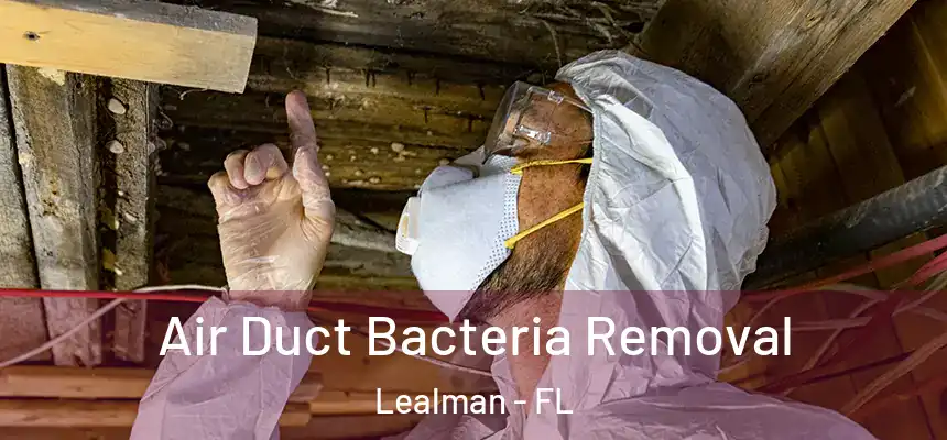 Air Duct Bacteria Removal Lealman - FL