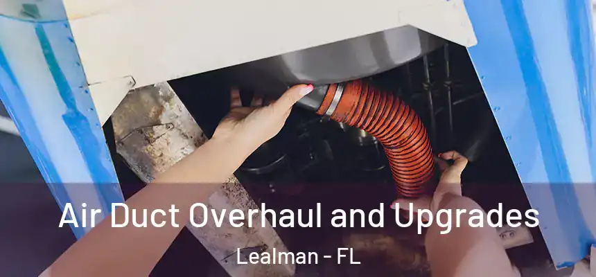Air Duct Overhaul and Upgrades Lealman - FL