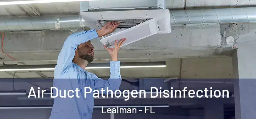 Air Duct Pathogen Disinfection Lealman - FL