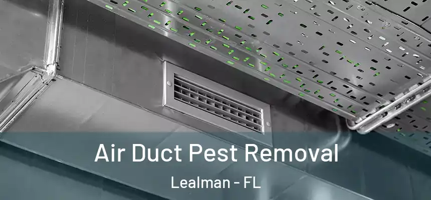 Air Duct Pest Removal Lealman - FL