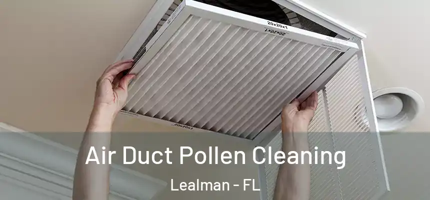 Air Duct Pollen Cleaning Lealman - FL