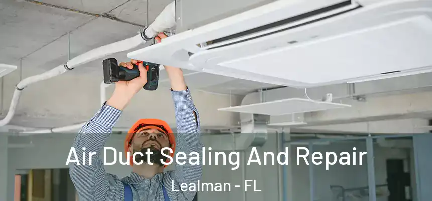 Air Duct Sealing And Repair Lealman - FL