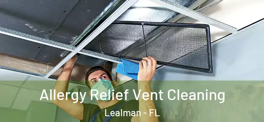 Allergy Relief Vent Cleaning Lealman - FL