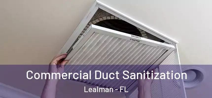 Commercial Duct Sanitization Lealman - FL