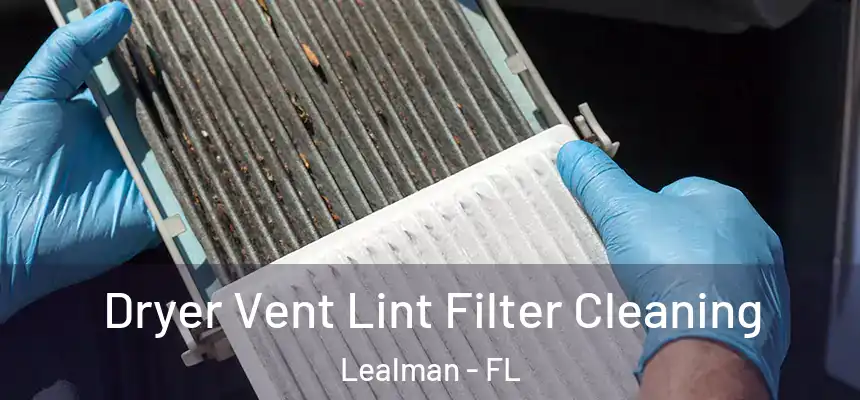Dryer Vent Lint Filter Cleaning Lealman - FL