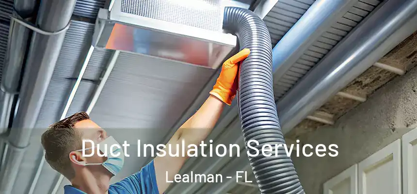 Duct Insulation Services Lealman - FL
