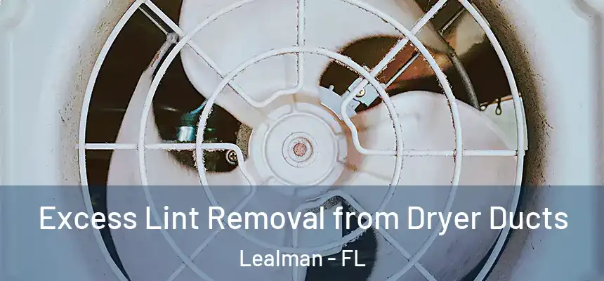 Excess Lint Removal from Dryer Ducts Lealman - FL