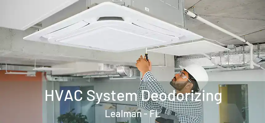 HVAC System Deodorizing Lealman - FL