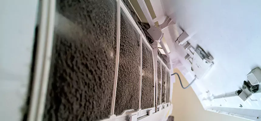 Preventive Air Duct Bacteria Removal in Lealman