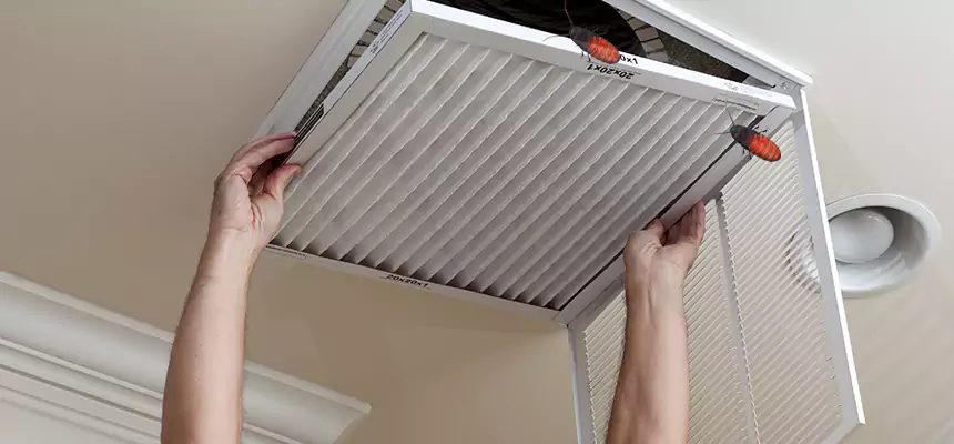 Preventive Cockroach-Proofing for Ducts in Lealman
