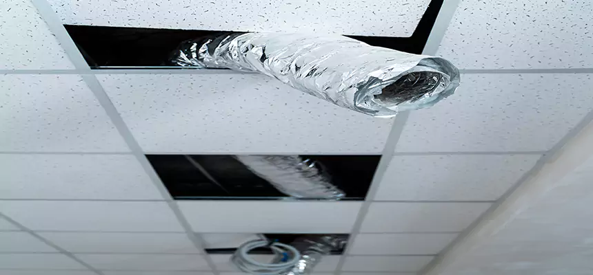 Affordable HVAC Sanitizing After Pest Removal in Lealman