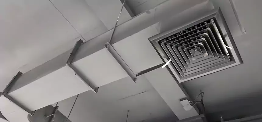 Restorative Allergy Relief Vent Cleaning – Coil, Blower & Housing Detail in Lealman