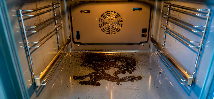 Our Dryer Vent Mold Cleaning Services in Lealman, FL