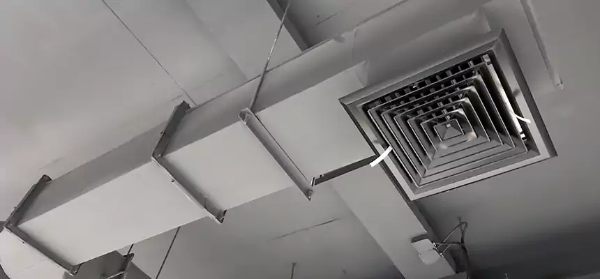 Our Pest Removal From Ducts Services in Lealman, FL