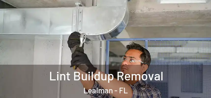 Lint Buildup Removal Lealman - FL