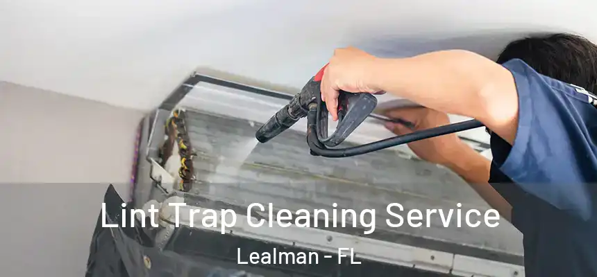 Lint Trap Cleaning Service Lealman - FL