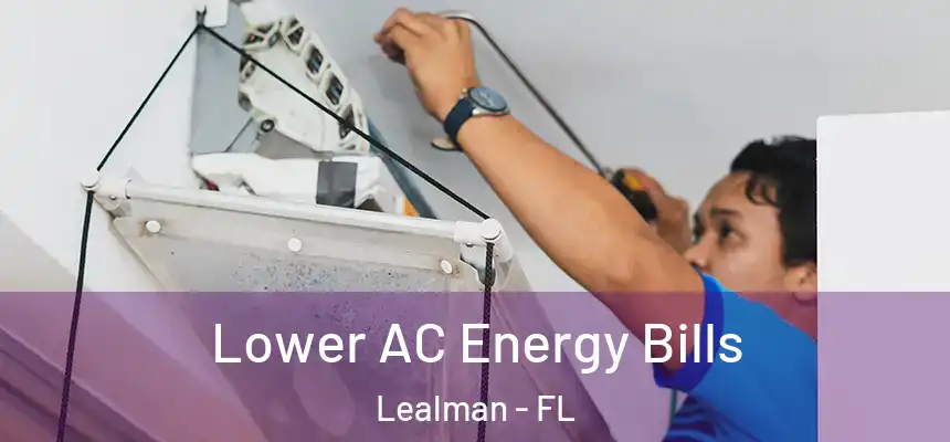  Lower AC Energy Bills Lealman - FL