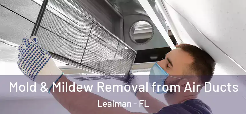 Mold & Mildew Removal from Air Ducts Lealman - FL