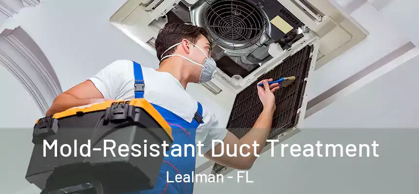 Mold-Resistant Duct Treatment Lealman - FL