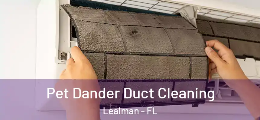 Pet Dander Duct Cleaning Lealman - FL