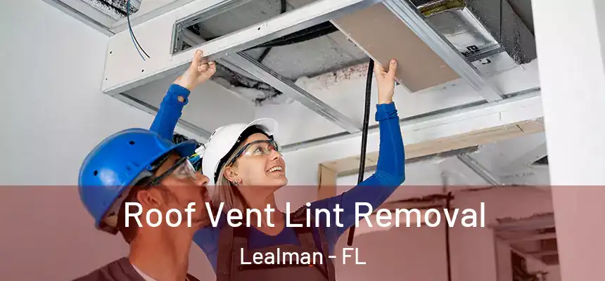 Roof Vent Lint Removal Lealman - FL