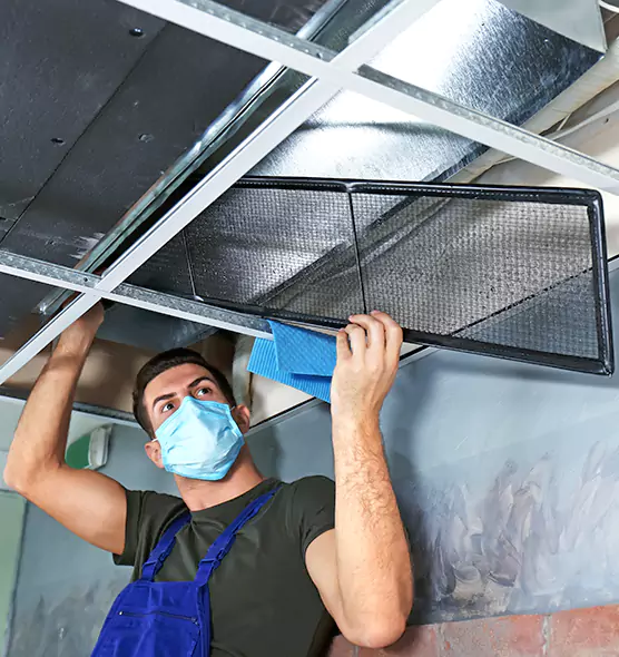 About Air Duct Bacteria Removal in Lealman