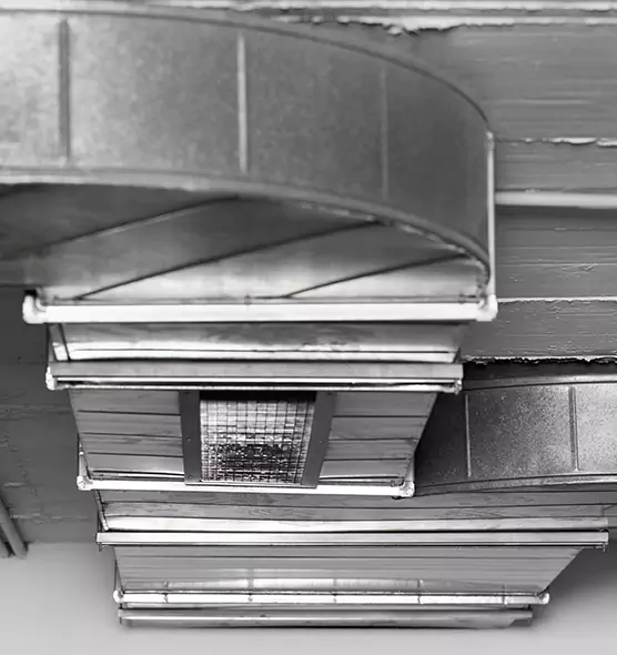 Professional Air Duct Pest Removal in Lealman, FL