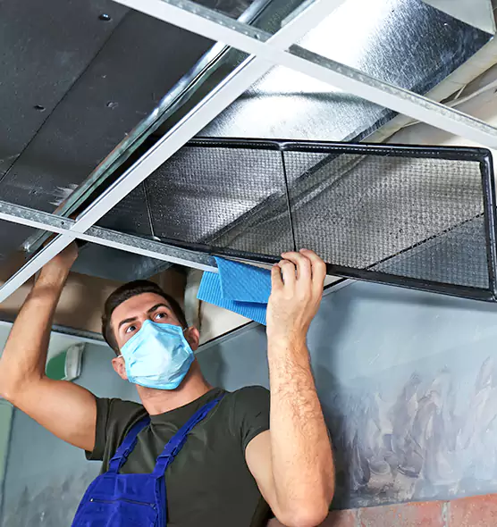 Professional Air Duct Pollen Cleaning in Lealman, FL