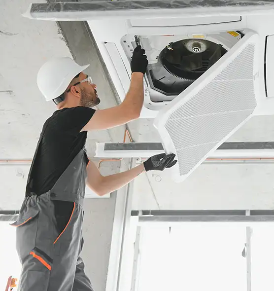 About Air Duct Rodent Removal in Lealman, FL