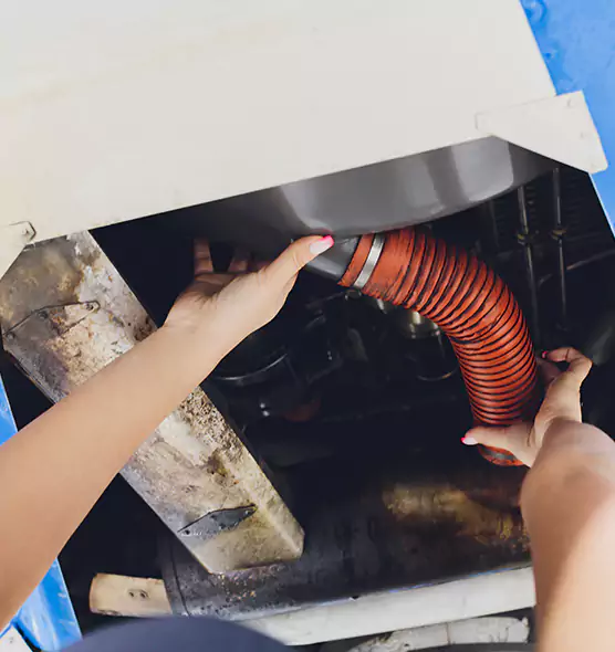 About Air Duct Virus Disinfection in Lealman, FL