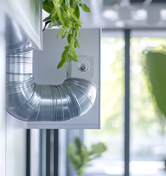 Professional Eco-Safe Dryer Vent Cleaning in Lealman, FL