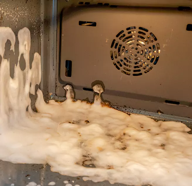 Why Homeowners Businesses Trust Us in Lealman, FL?