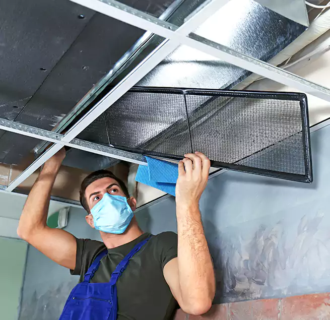 Why Homeowners Businesses Trust Us in Lealman, FL