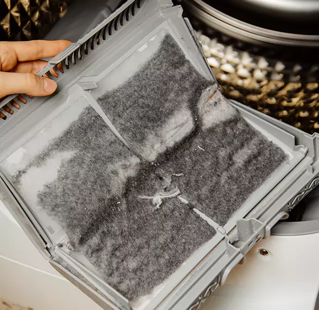 Why Homeowners & Businesses Trust Us Lealman, FL?