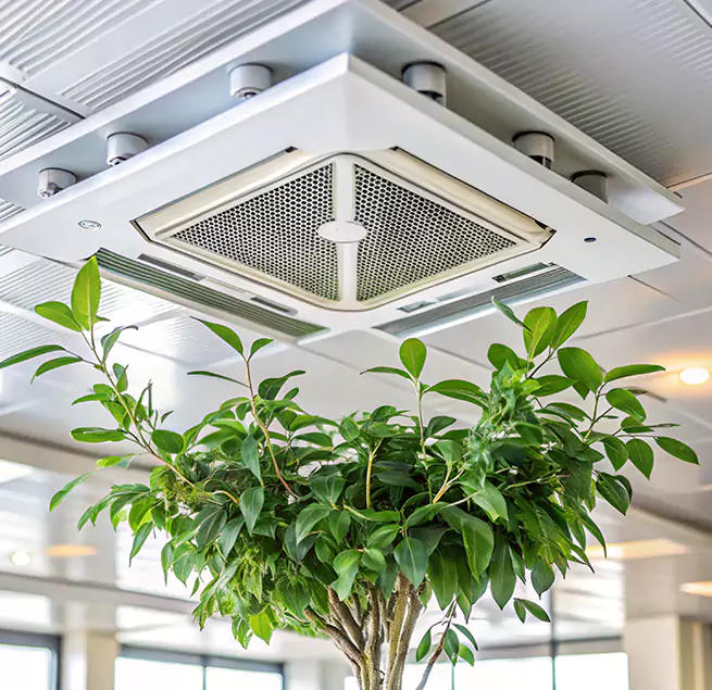 Why Homeowners & Businesses Trust Us in Lealman, FL