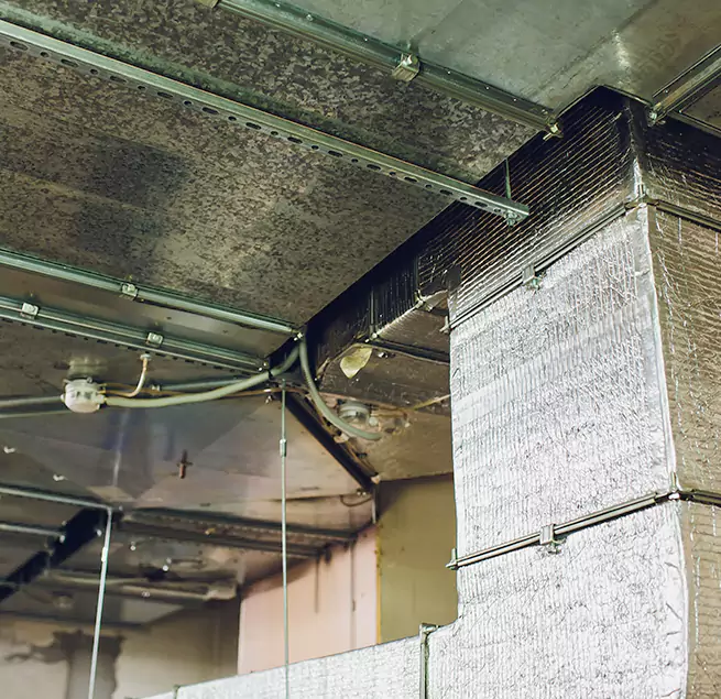 Why Homeowners & Businesses Trust Us in Lealman, FL?