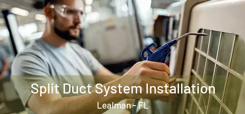 Split Duct System Installation Lealman - FL