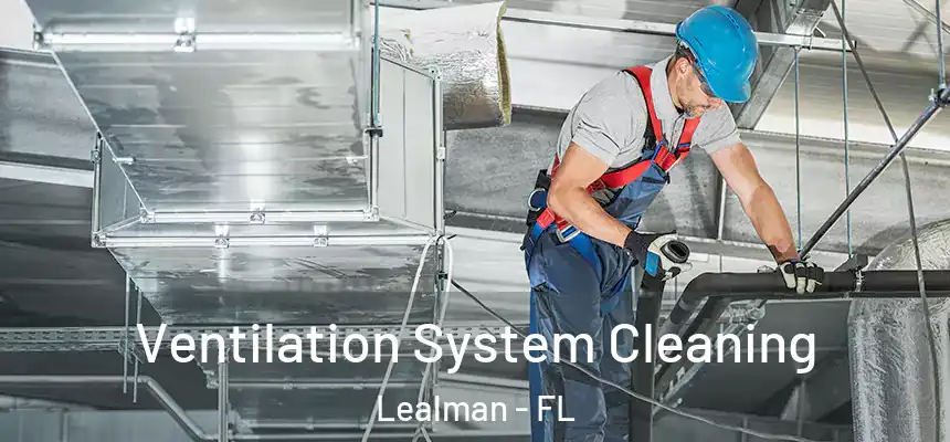 Ventilation System Cleaning Lealman - FL