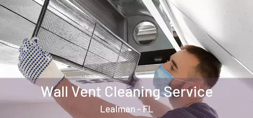 Wall Vent Cleaning Service Lealman - FL